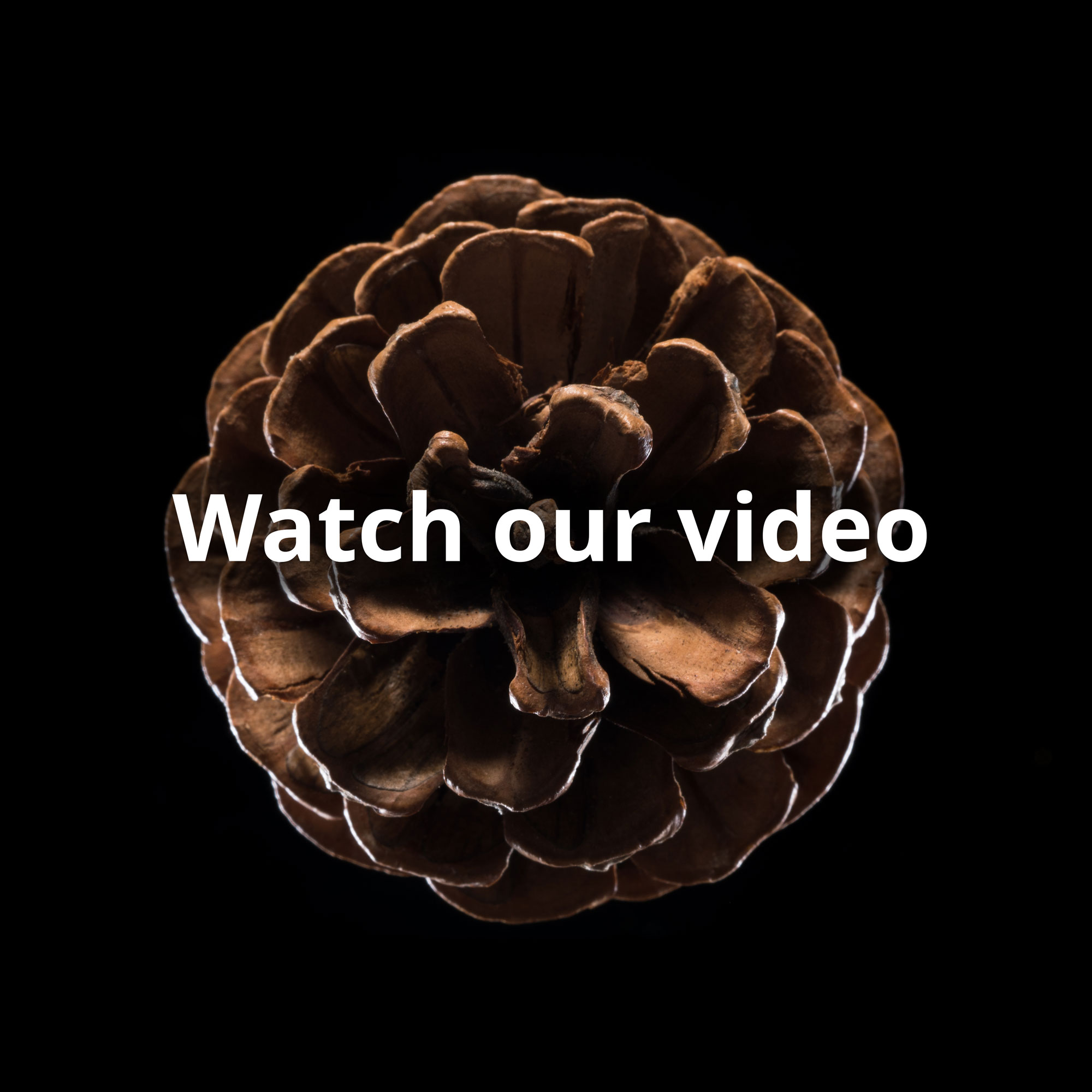 Discover more about Rothesay and how we secure pensions for nearly one million people.