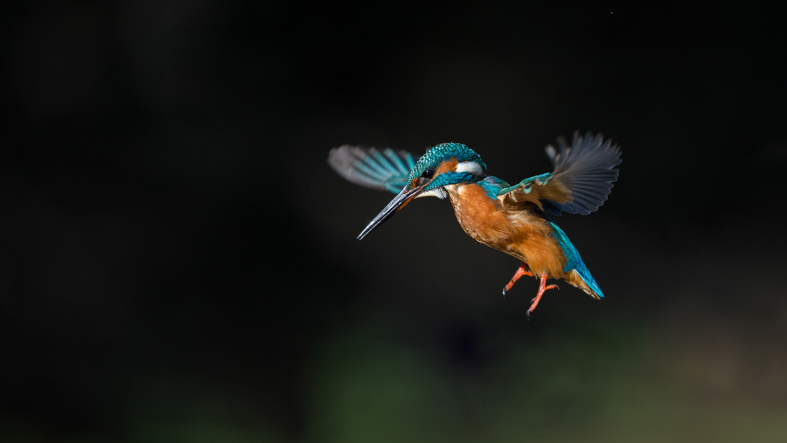 Graduate and Intern careers at Rothesay