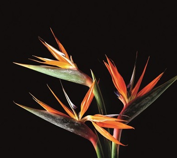 2023 Sustainability and Climate Reports