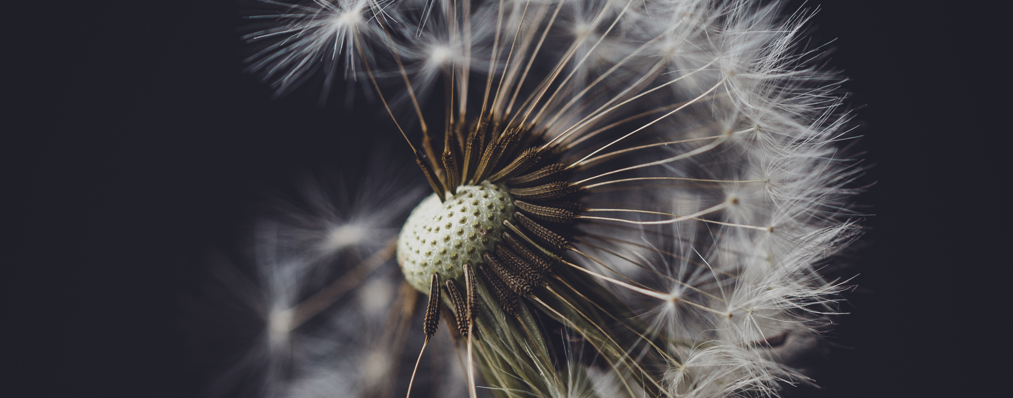 Securing pensions for the future