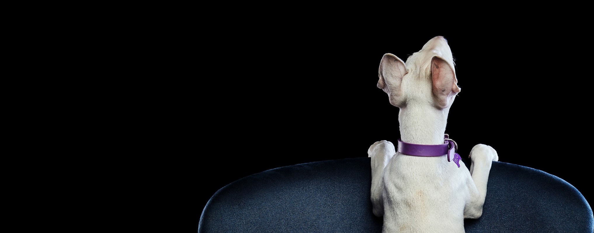 Focused on service excellence